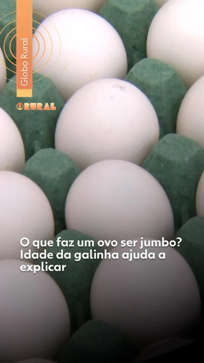 Cará-do-ar: Conheça a PANC que ganha espaço na mesa do brasileiro