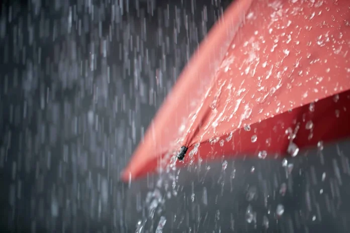 Prever Chuva Forte Não É O Mesmo Que Prever Um Desastre, Entenda