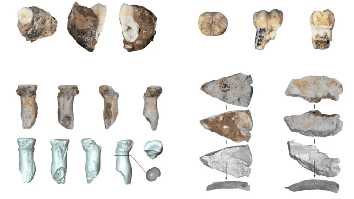 Fóssil de Denisovano na China Revela Nova Pista de Hominídeo Extinto