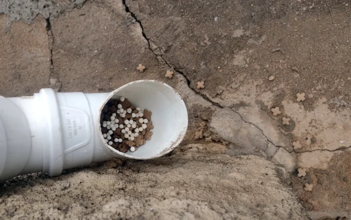 Polícia Civil Investiga Suspeita de Envenenamento de Gatos em Varginha