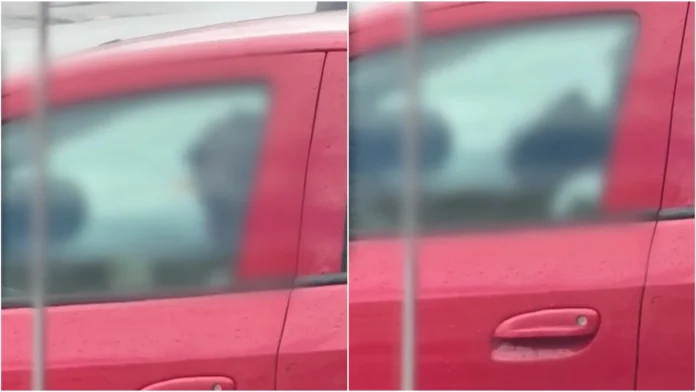 Padrasto é condenado por torturar bebê dentro de carro em Palhoça